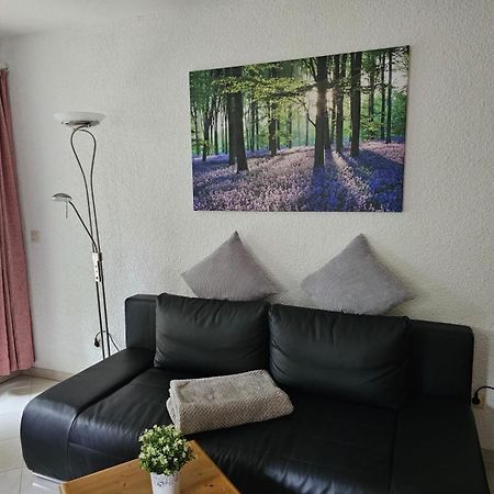 Residenz Schauinsland Todtnauberg - Fewo 17 - Sauna - Spielzimmer Fuer Kinder - Naehe Feldberg Zewnętrze zdjęcie
