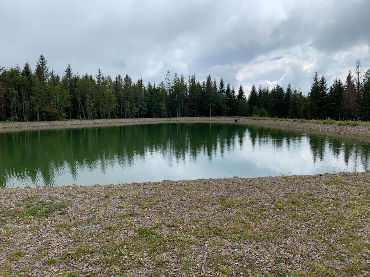 Residenz Schauinsland Todtnauberg - Fewo 17 - Sauna - Spielzimmer Fuer Kinder - Naehe Feldberg Zewnętrze zdjęcie