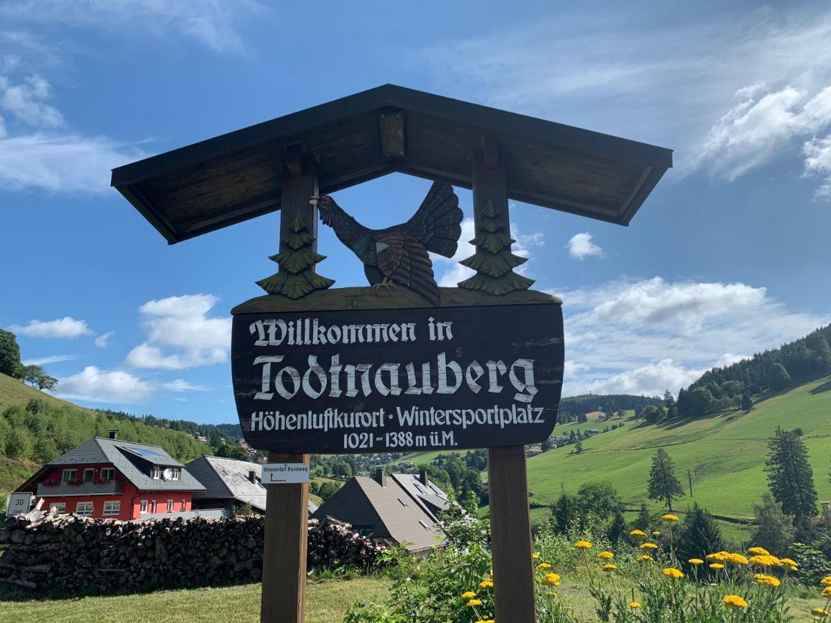 Residenz Schauinsland Todtnauberg - Fewo 17 - Sauna - Spielzimmer Fuer Kinder - Naehe Feldberg Zewnętrze zdjęcie