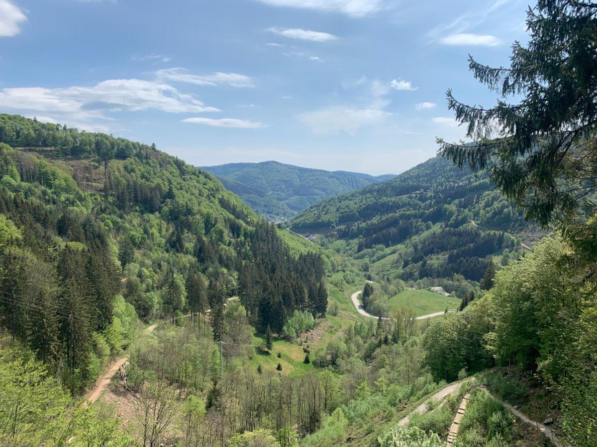 Residenz Schauinsland Todtnauberg - Fewo 17 - Sauna - Spielzimmer Fuer Kinder - Naehe Feldberg Zewnętrze zdjęcie