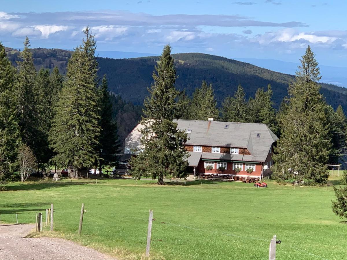 Residenz Schauinsland Todtnauberg - Fewo 17 - Sauna - Spielzimmer Fuer Kinder - Naehe Feldberg Zewnętrze zdjęcie