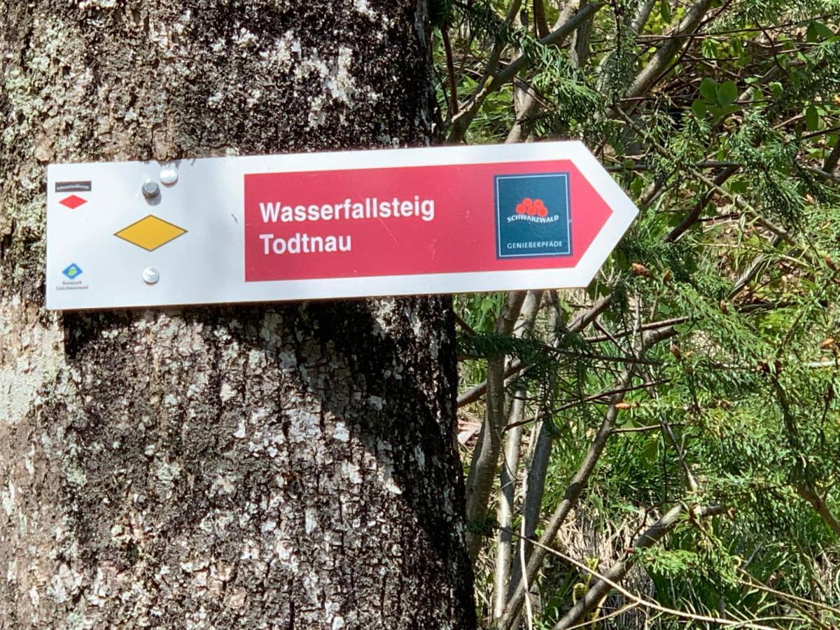 Residenz Schauinsland Todtnauberg - Fewo 17 - Sauna - Spielzimmer Fuer Kinder - Naehe Feldberg Zewnętrze zdjęcie